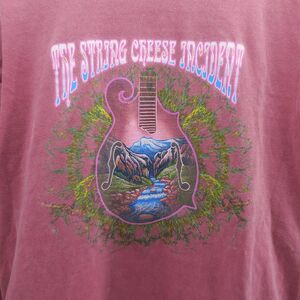The String Cheese Incident Concert Tour Shirt Mountains Flowing Stream Medium